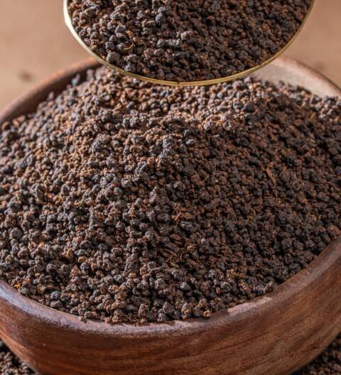 Mody's Export CTC BOP